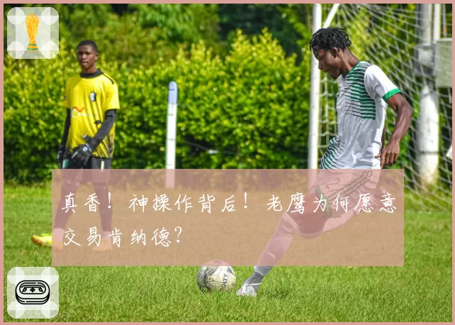 真香！神操作背后！老鹰为何愿意交易肯纳德？