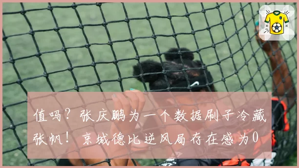 值吗?张庆鹏为一个数据刷子冷藏张帆!京城德比逆风局存在感为0